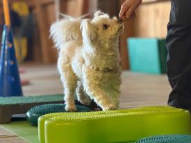 Spiel, Spass & Freude Spiel, Spass & Freude