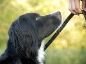 Ruhiges Miteinander Ruhiges Miteinander