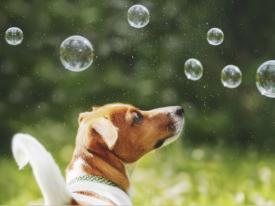 Gemeinsam kreativ unterwegs sein und mit Freude Neues entdecken!