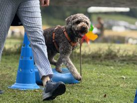 Einzelstunden Einzelstunden