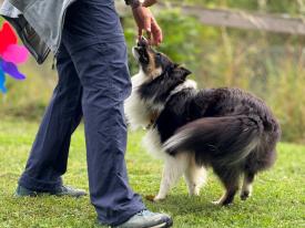 Wann ist es sinnvoll für Einzeltraining. Wann ist es sinnvoll für Einzeltraining.