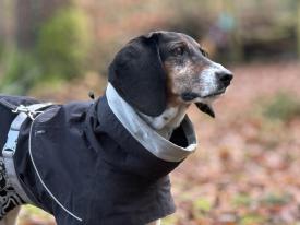 Ruhiges Miteinander Ruhiges Miteinander