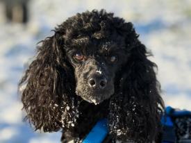 In angenehmer und entspannter Atmosphäre