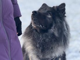 Ruhiges Miteinander Ruhiges Miteinander