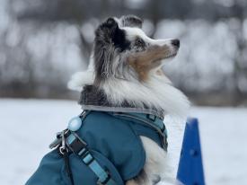 In angenehmer und entspannter Atmosphäre