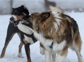 Freunde treffen Freunde Freunde treffen Freunde