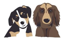 Hundeschule und Verhaltensberatung