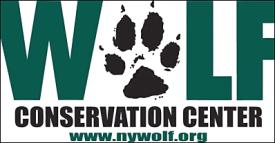 Wolf Conservation Center