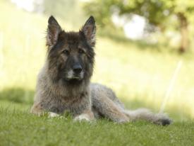 Unsere geliebte Namy