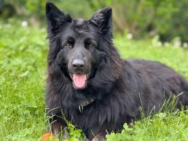 Glücklich und zufrieden