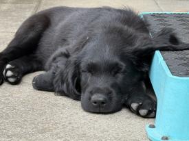 Glücklich und zufrieden